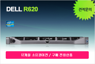 DELL R620 Server