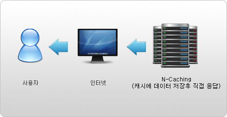 N-Caching(캐시에 데이터 저장후 직접 응답),인터넷,사용자